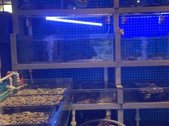 -大厨的餐厅(曾厝垵总店)