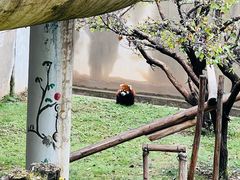 -青藏高原野生动物园
