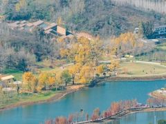 -千年银杏谷文化旅游区