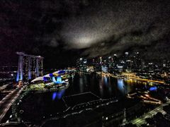 -新加坡丽思卡尔顿美年酒店
