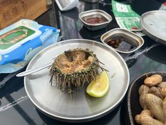 -蚝堡·生蚝海鲜烧烤物种起源•海肠捞饭(刘公岛店)