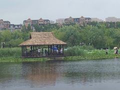 -前关湿地公园
