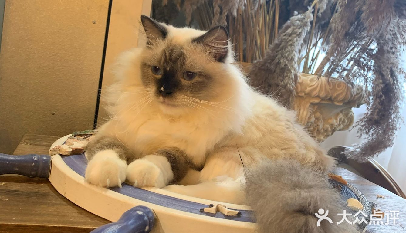 爽朗可口,祝店家生意兴隆!