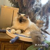 爽朗可口,祝店家生意兴隆!