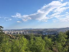 -红山国家森林公园