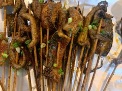 鳝鱼-晓靖轩烧烤(沙河风情店)