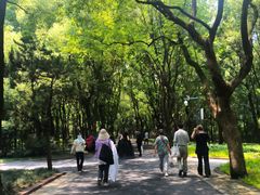 -东湖落雁景区