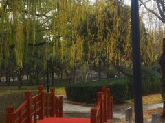 -玲珑塔公园