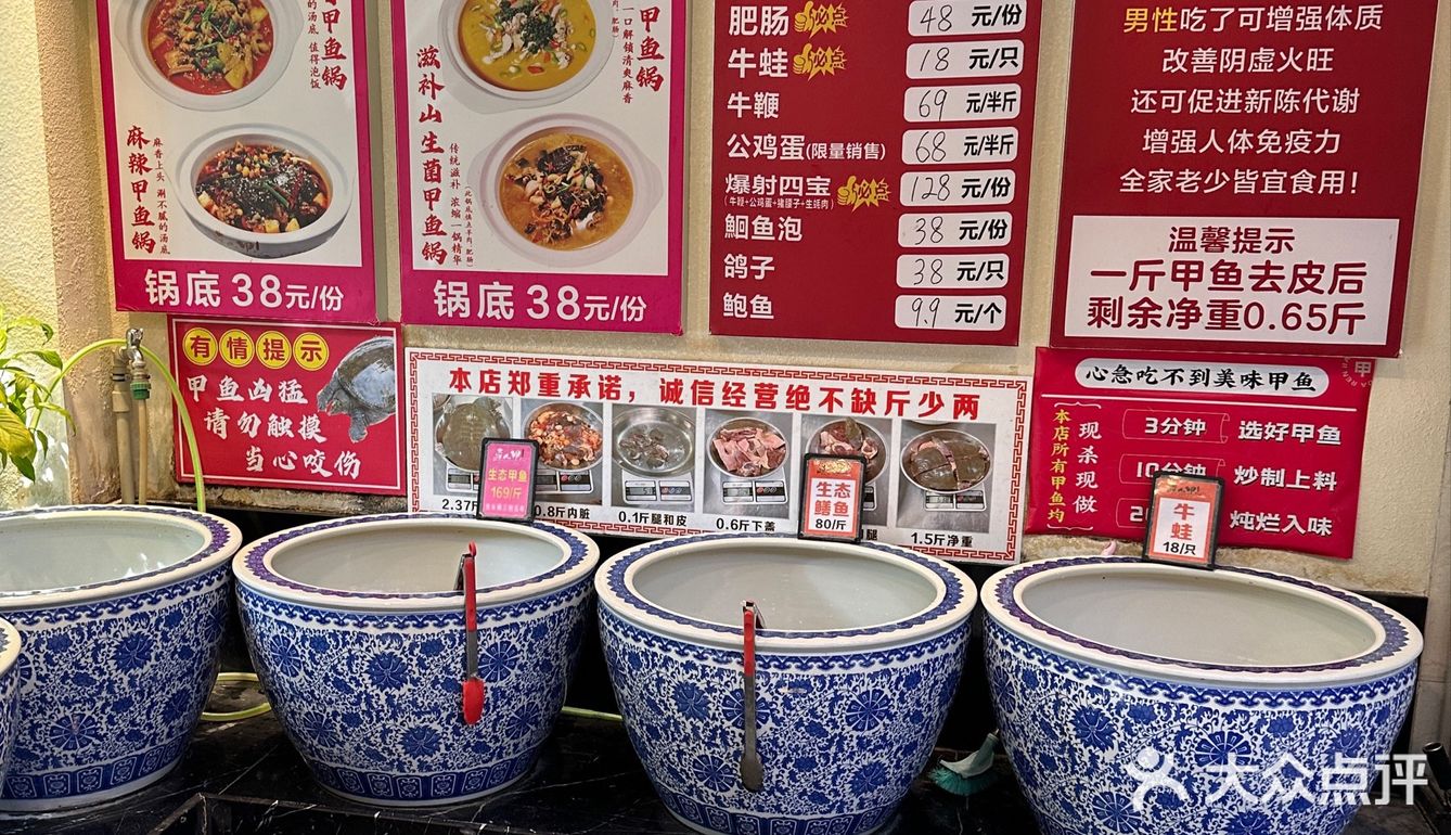吃甲鱼的专门店  达人甲.砂锅甲鱼