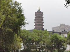 -长兴太湖图影湿地文化园