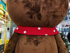 -line friends(明洞旗舰店)