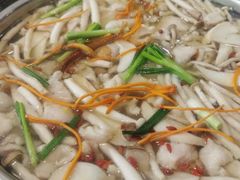 -丁月玉兔王(大渡口店)