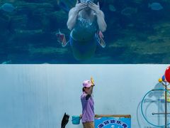 -无锡动物园·太湖欢乐园