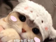 -汇佳桌游剧本咖啡馆(万体馆旗舰店)