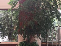 -上海圣淘沙万怡酒店