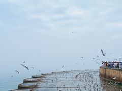 -星海广场