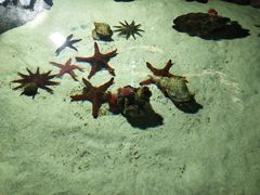 -福州罗源湾海洋世界旅游区
