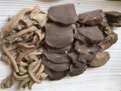 白灼鹅杂-姚林轩