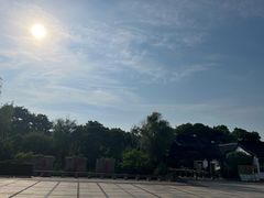 -香雪海