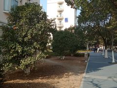 -南京航空航天大学(将军路校区)