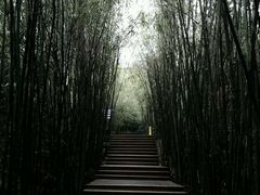 -东部华侨城