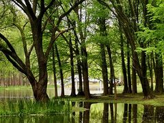 -共青国家森林公园-售票处