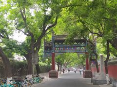 -北京国子监胡同