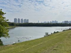 -盘龙城遗址博物院