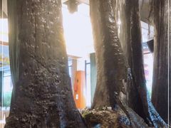 -大树头·花园餐厅(市桥店)