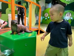 -北京科学中心儿童乐园