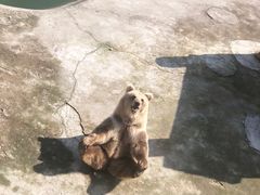 -哈尔滨北方森林动物园