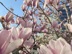 -浦江镇(地铁站)