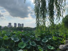 -太阳宫公园