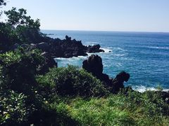 中文大浦海岸柱状节理带-柱状节理带