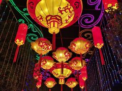 -武汉园博园(武汉自然博物馆)