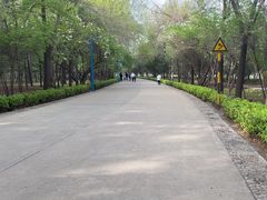 -森林公园(尖草坪区)