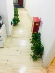 -余祖萍专业经络瘦身