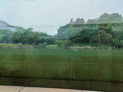 -鄱阳湖国家湿地公园