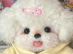 -红帽叔叔包子