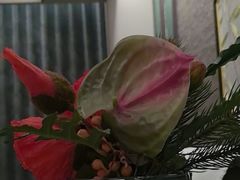 -和子足浴SPA会馆(东方之门店)