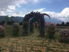 -丽江植物园