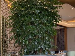 -菲住布渴酒店中餐厅(阿里巴巴西溪园区店)