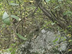 -终南山南五台景区