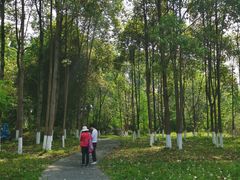 -桤木河湿地公园