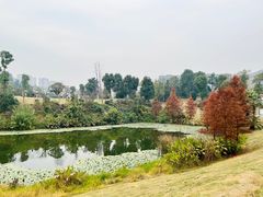 -东岳体育公园