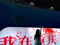-重庆欢乐海底世界