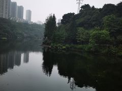 -重庆彩云湖湿地公园
