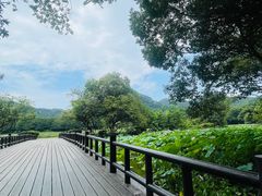 -八卦田遗址公园