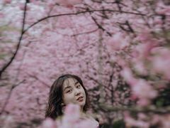-南山植物园