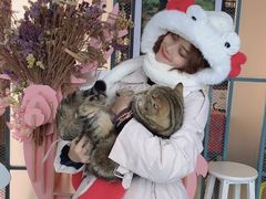 -喵屿·大理花园猫咖